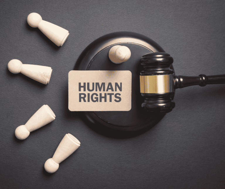 Brief History of the International Human Rights Committee ...